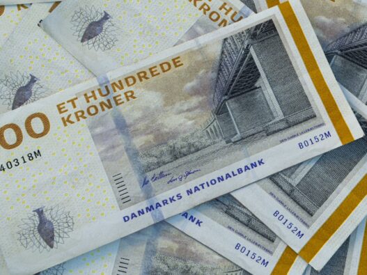 Danske pengesedler og ca. 400 kr. i alt